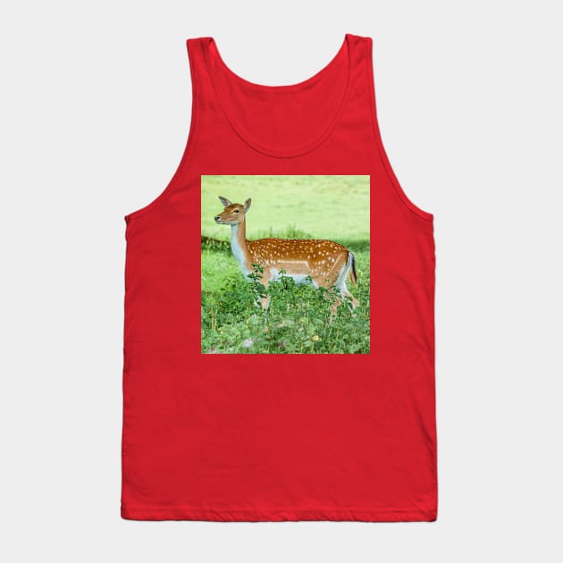 Fallow Deer on the Alert Tank Top by dalyndigaital2@gmail.com